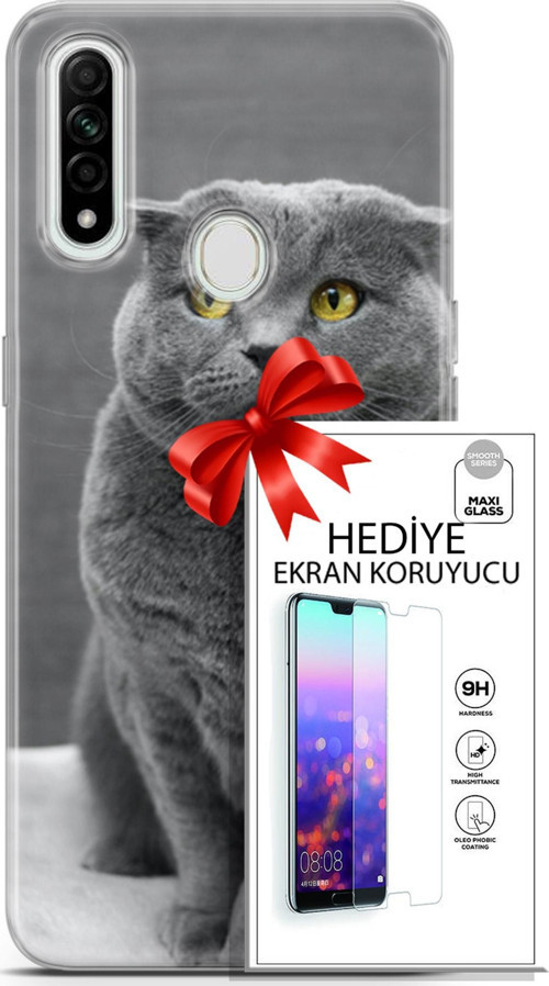 Oppo A31 Kılıf Orijinal Seri Scotish-British 17 Scottish Duman Gri Yumuşak Kılıf + Ekran Koruyucu