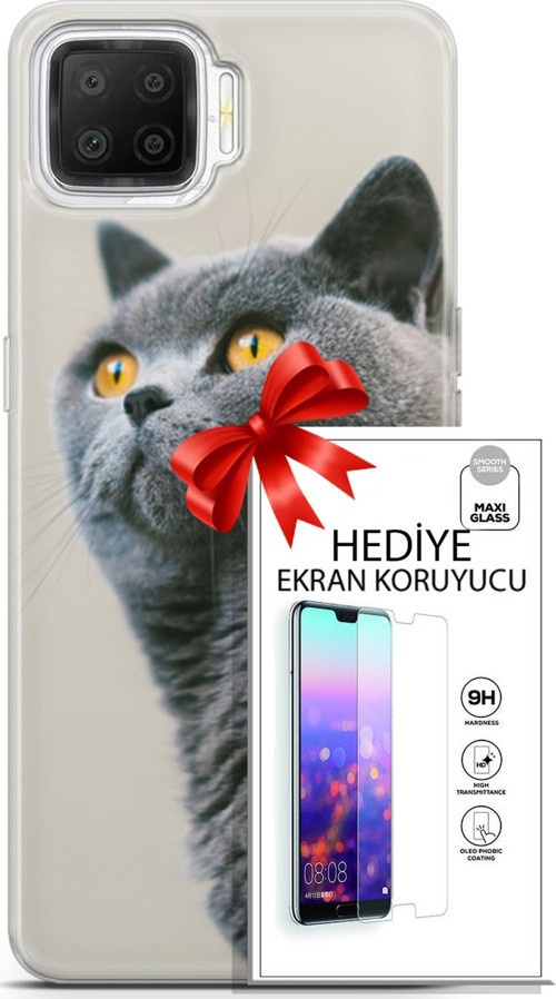 Oppo A73 Kılıf Orijinal Seri Scotish-British 05 Gri Scottish Koruma Kılıfı + Ekran Koruyucu