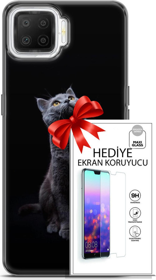 Oppo A73 Kılıf Orijinal Seri Scotish-British 21 British Shorthair Portre Darbe Önleyici Kapak + Ön Ekran Koruyucu