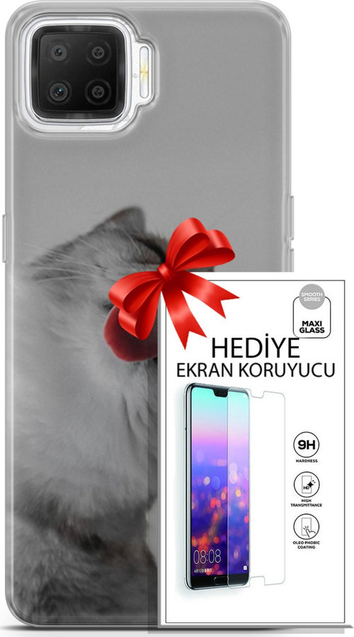 Oppo A73 Kılıf Orijinal Seri Scotish-British 07 British Shorthair Desenli Kılıf + Ön Ekran Koruyucu