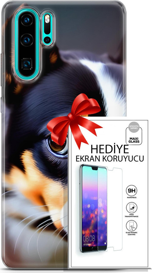 Huawei P30 Pro Kılıf Orijinal Seri Dogs 11 İsviçre Bernese 4K Baskılı Kılıf + Ekran Koruyucu Full Koruma
