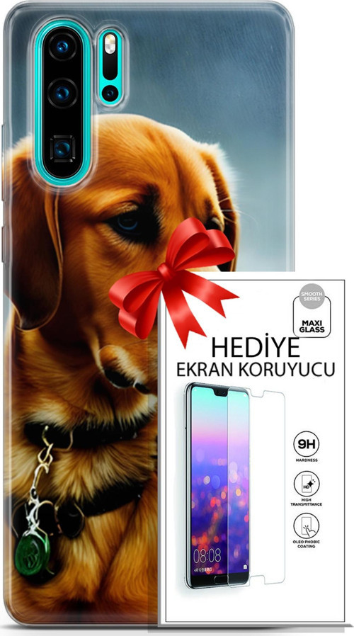 Huawei P30 Pro Kılıf Orijinal Seri Dogs 04 Labrador Silikon Kılıf + Ekran Koruyucu Full Korumaket