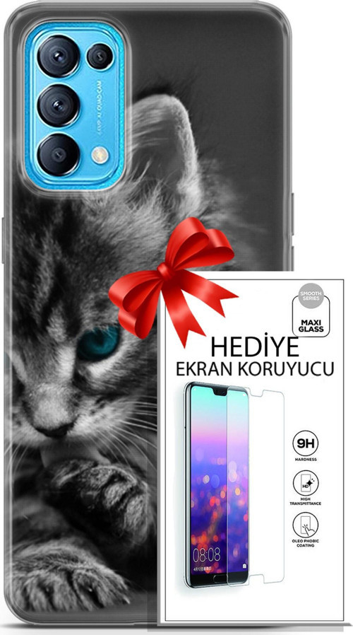 Oppo Reno 5 Pro Kılıf Orijinal Seri Scotish-British 19 Mavi Gözlü Ragdoll Tam Koruma Kılıf + Ekran Koruyucu