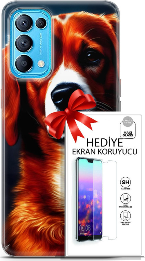 Oppo Reno 5 Pro Kılıf Orijinal Seri Dogs 21 Spaniel Darbe Önleyici Kapak + Ön Ekran Koruyucu