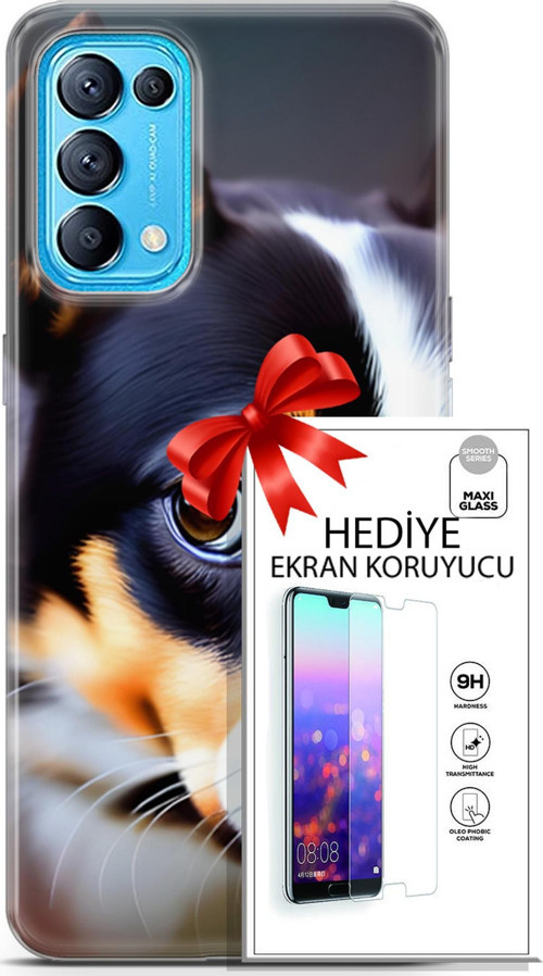 Oppo Reno 5 Pro Kılıf Orijinal Seri Dogs 11 İsviçre Bernese 4K Baskılı Kılıf + Ekran Koruyucu Full Koruma