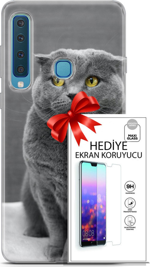Samsung Galaxy A9 2018 Kılıf Orijinal Seri Scotish-British 17 Scottish Duman Gri Yumuşak Kılıf + Ekran Koruyucu