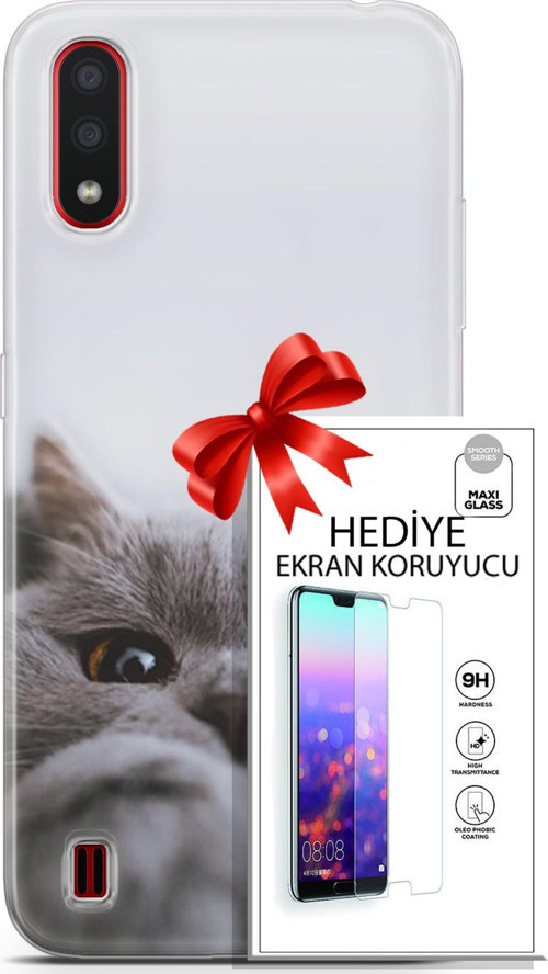 Samsung Galaxy A01 Kılıf Orijinal Seri Scotish-British 08 Sevimli Kedi Baskılı Kılıf + Ekran Koruyucu