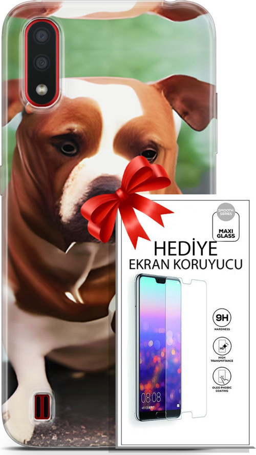 Samsung Galaxy A01 Kılıf Orijinal Seri Dogs 29 American Staffordshire Leke Tutmaz Kapak + Ekran Koruyucu