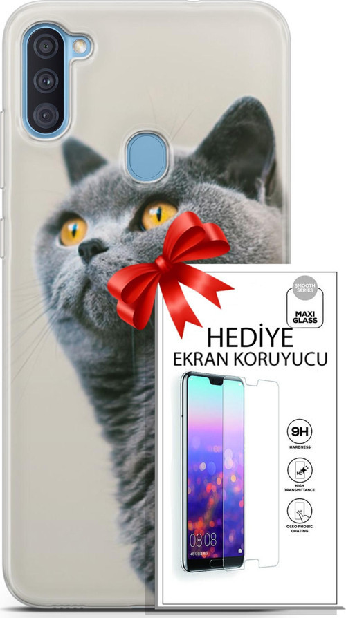 Samsung Galaxy A11 Kılıf Orijinal Seri Scotish-British 05 Gri Scottish Koruma Kılıfı + Ekran Koruyucu