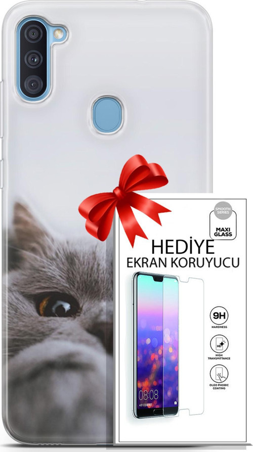 Samsung Galaxy A11 Kılıf Orijinal Seri Scotish-British 08 Sevimli Kedi Baskılı Kılıf + Ekran Koruyucu