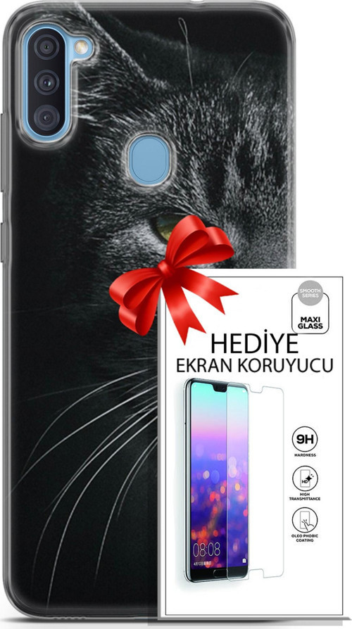 Samsung Galaxy A11 Kılıf Orijinal Seri Scotish-British 24 Asi Kedi Darbe Emici Kılıf + Ekran Koruyucu
