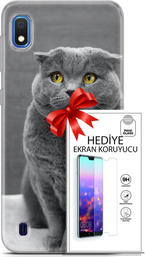 Samsung Galaxy A10 Kılıf Orijinal Seri Scotish-British 17 Scottish Duman Gri Yumuşak Kılıf + Ekran Koruyucu