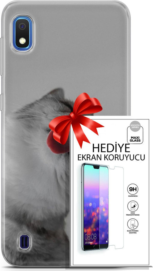 Samsung Galaxy A10 Kılıf Orijinal Seri Scotish-British 07 British Shorthair Desenli Kılıf + Ön Ekran Koruyucu