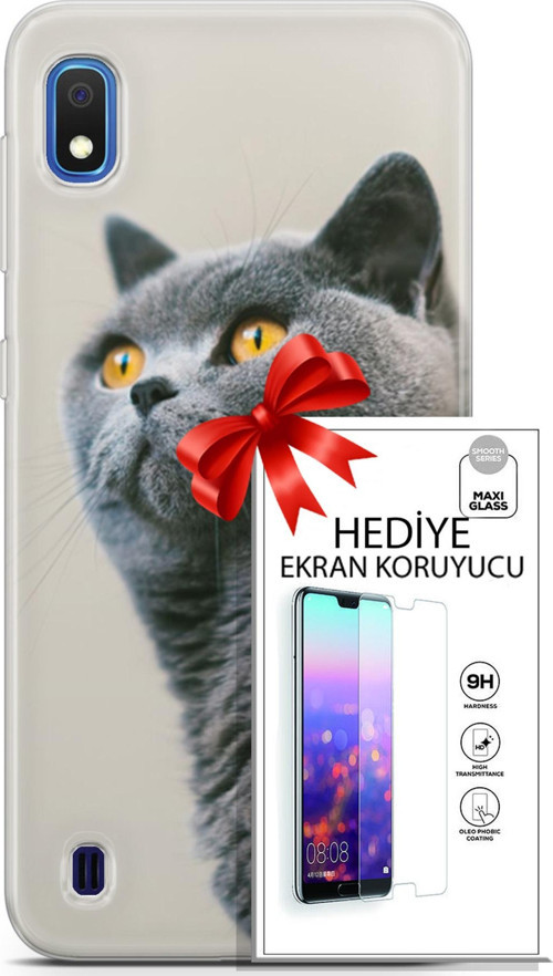 Samsung Galaxy A10 Kılıf Orijinal Seri Scotish-British 05 Gri Scottish Koruma Kılıfı + Ekran Koruyucu