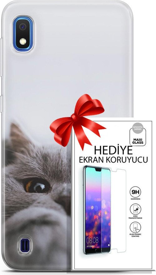 Samsung Galaxy A10 Kılıf Orijinal Seri Scotish-British 08 Sevimli Kedi Baskılı Kılıf + Ekran Koruyucu