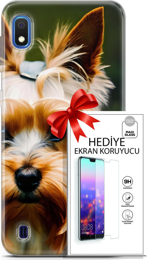 Samsung Galaxy A10 Kılıf Orijinal Seri Dogs 13 Yorkshire Terriyer Case Kapak Ekran Koruyucu