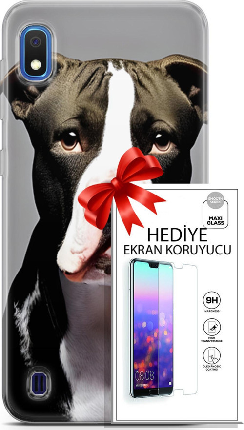 Samsung Galaxy A10 Kılıf Orijinal Seri Dogs 24 American Pitbull Darbe Emici Kılıf + Ekran Koruyucu