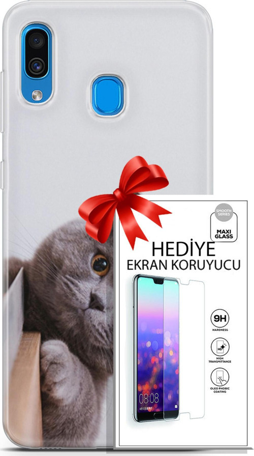 Samsung Galaxy A20 Kılıf Orijinal Seri Scotish-British 06 Duman Koruyucu Kapak Ekran Koruyucu