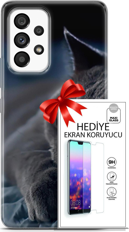 Samsung Galaxy A53 5G Kılıf Orijinal Seri Scotish-British 20 Yatan Kedi Renkli Kılıf Ekran Koruyucu