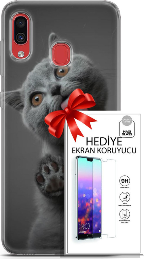 Samsung Galaxy A30 Kılıf Orijinal Seri Scotish-British 09 Yavru Kedi Uv Kılıf Ve Ekran Koruyucu