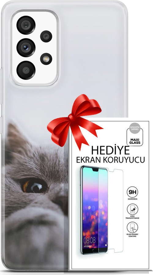 Samsung Galaxy A53 5G Kılıf Orijinal Seri Scotish-British 08 Sevimli Kedi Baskılı Kılıf + Ekran Koruyucu