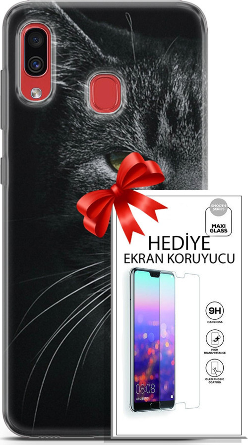 Samsung Galaxy A30 Kılıf Orijinal Seri Scotish-British 24 Asi Kedi Darbe Emici Kılıf + Ekran Koruyucu