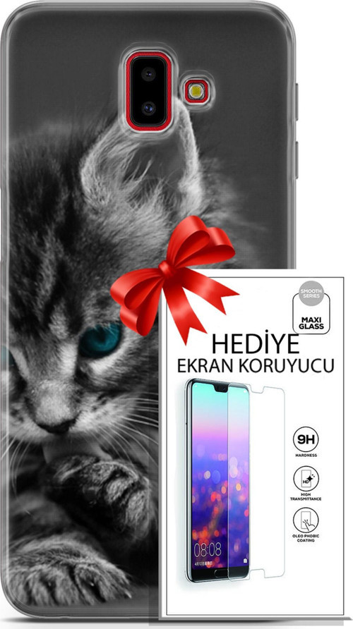 Samsung Galaxy J6 Plus Kılıf Orijinal Seri Scotish-British 19 Mavi Gözlü Ragdoll Tam Koruma Kılıf +Ekran Koruyucu