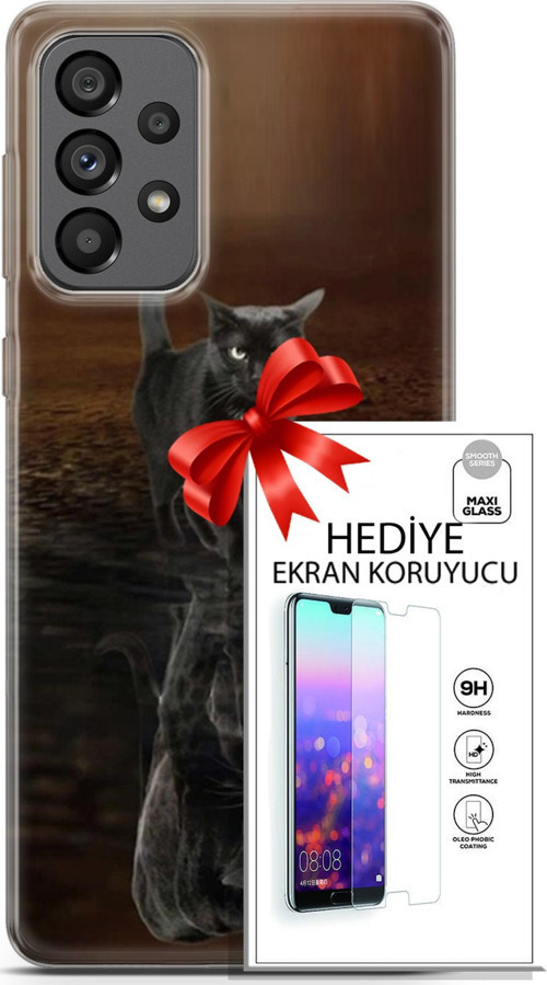 Samsung Galaxy A73 5G Kılıf Orijinal Seri Scotish-British 16 Siyah Rus Kedisi Hediyelik Kılıf Ve Ekran Koruyucu