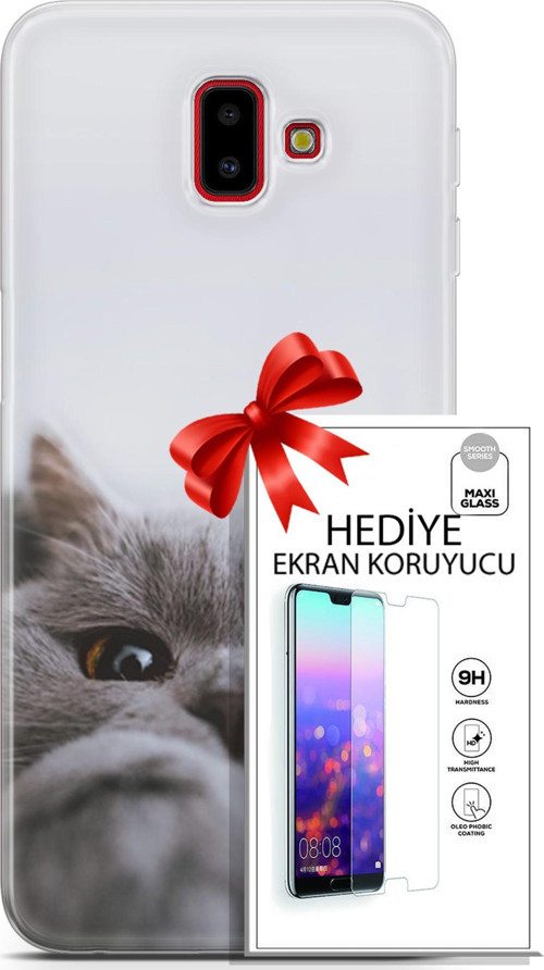 Samsung Galaxy J6 Plus Kılıf Orijinal Seri Scotish-British 08 Sevimli Kedi Baskılı Kılıf + Ekran Koruyucu