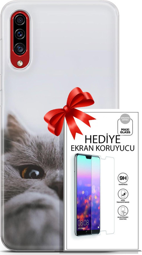 Samsung Galaxy A50S Kılıf Orijinal Seri Scotish-British 08 Sevimli Kedi Baskılı Kılıf + Ekran Koruyucu