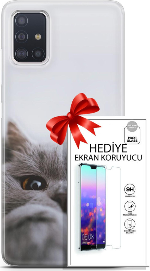 Samsung Galaxy A71 Kılıf Orijinal Seri Scotish-British 08 Sevimli Kedi Baskılı Kılıf + Ekran Koruyucu