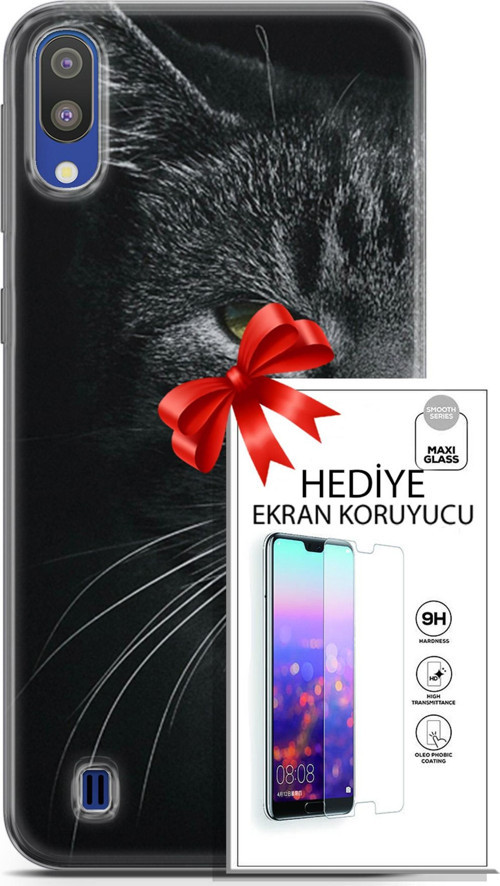 Samsung Galaxy M10 Kılıf Orijinal Seri Scotish-British 24 Asi Kedi Darbe Emici Kılıf + Ekran Koruyucu
