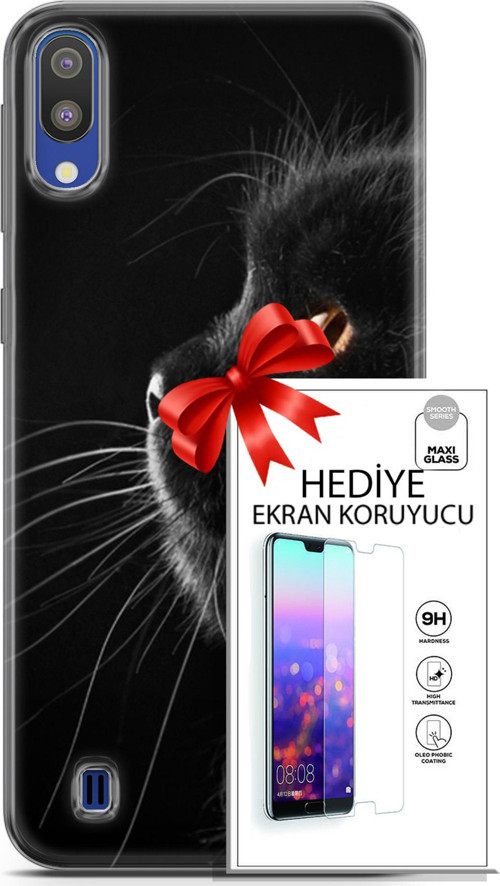 Samsung Galaxy M10 Kılıf Orijinal Seri Scotish-British 22 Kedi Bıyık Detay Kap + Ekran Koruyucu