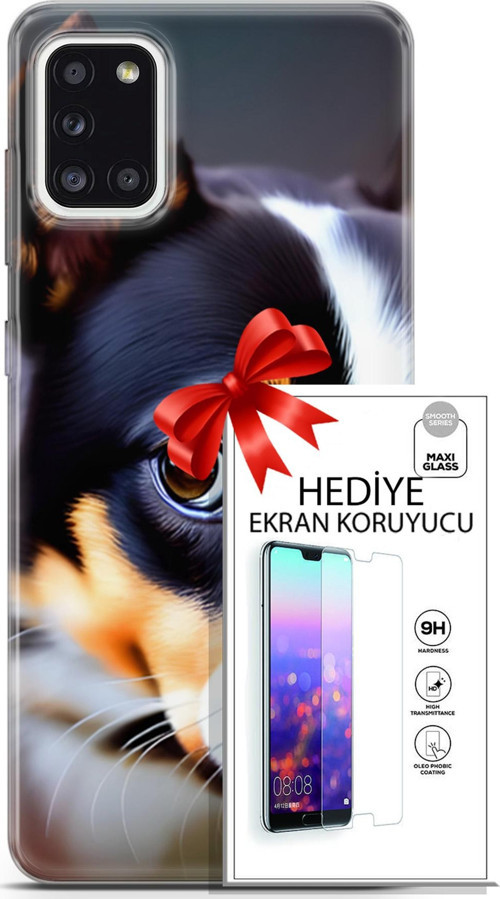 Samsung Galaxy A31 Kılıf Orijinal Seri Dogs 11 İsviçre Bernese 4K Baskılı Kılıf + Ekran Koruyucu Ful