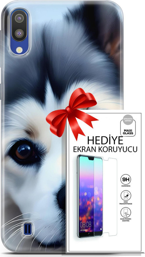 Samsung Galaxy M10 Kılıf Orijinal Seri Dogs 12 Shiba Tasarım Kılıf + Ekran Koruyucu