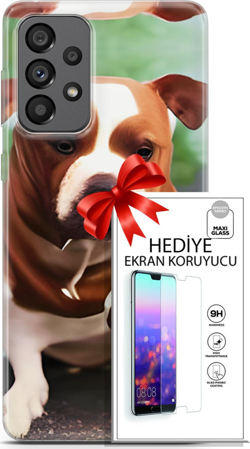 Samsung Galaxy A73 5G Kılıf Orijinal Seri Dogs 29 American Staffordshire Leke Tutmaz Kapak + Ekran Koruyucu