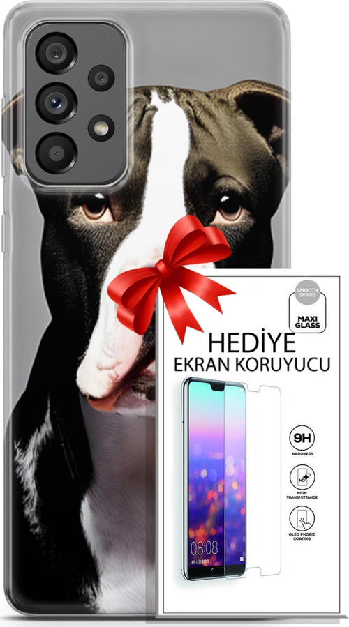 Samsung Galaxy A73 5G Kılıf Orijinal Seri Dogs 24 American Pitbull Darbe Emici Kılıf + Ekran Koruyucu
