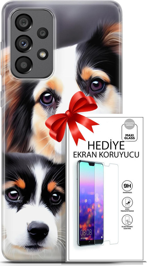 Samsung Galaxy A73 5G Kılıf Orijinal Seri Dogs 22 Bernese Dağ Köpeği Kap + Ekran Koruyucu