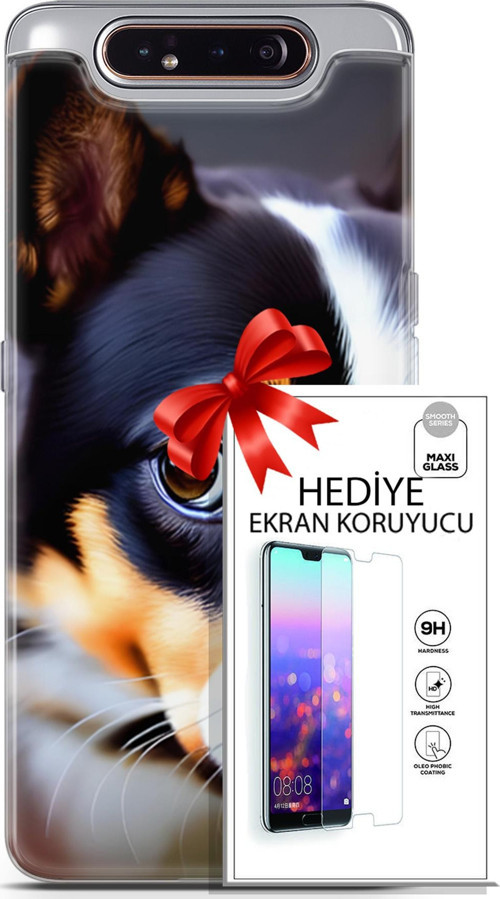 Samsung Galaxy A80 Kılıf Orijinal Seri Dogs 11 İsviçre Bernese 4K Baskılı Kılıf + Ekran Koruyucu Ful
