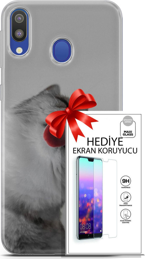 Samsung Galaxy M20 Kılıf Orijinal Seri Scotish-British 07 British Shorthair Desenli Kılıf + Ön Ekran Koruyucu