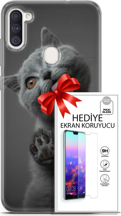 Samsung Galaxy M11 Kılıf Orijinal Seri Scotish-British 09 Yavru Kedi Uv Kılıf Ve Ekran Koruyucu