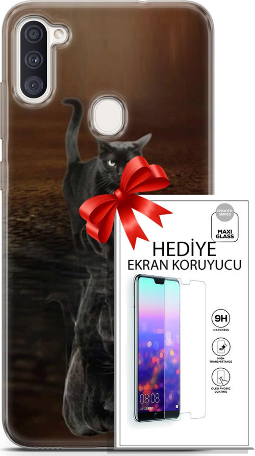 Samsung Galaxy M11 Kılıf Orijinal Seri Scotish-British 16 Siyah Rus Kedisi Hediyelik Kılıf Ve Ekran Koruyucu