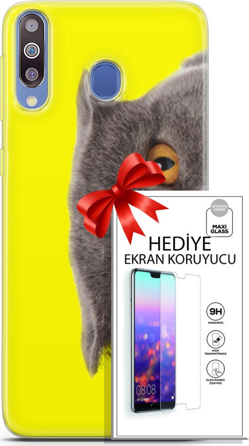 Samsung Galaxy M30 Kılıf Orijinal Seri Scotish-British 01 Scottish Fold Telefon Kılıfı + Ekran Koruyucu