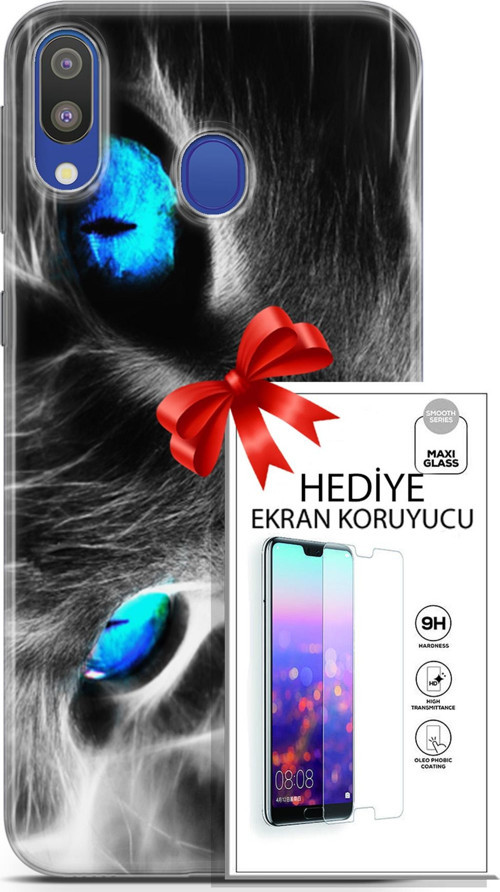 Samsung Galaxy M20 Kılıf Orijinal Seri Scotish-British 26 Amerikan Kedisi Soft Kapak + Ekran Koruyucu