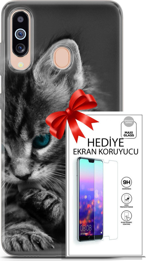 Samsung Galaxy M40 Kılıf Orijinal Seri Scotish-British 19 Mavi Gözlü Ragdoll Tam Koruma Kılıf + Ekran Koruyucu
