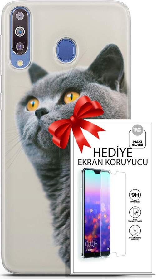 Samsung Galaxy M30 Kılıf Orijinal Seri Scotish-British 05 Gri Scottish Koruma Kılıfı + Ekran Koruyucu