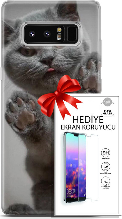 Samsung Galaxy Note 8 Kılıf Orijinal Seri Scotish-British 10 Yavru Scottish Full Hd Kılıf + Ekran Koruyucu