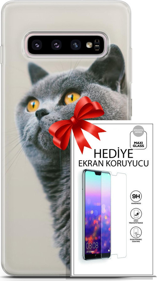 Samsung Galaxy S10 Plus Kılıf Orijinal Seri Scotish-British 05 Gri Scottish Koruma Kılıfı + Ekran Koruyucu