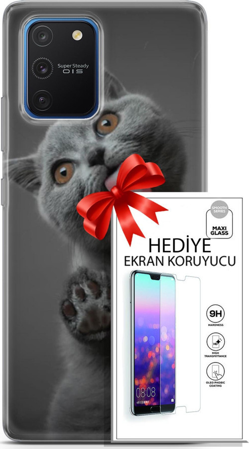 Samsung Galaxy S10 Lite Kılıf Orijinal Seri Scotish-British 09 Yavru Kedi Uv Kılıf Ve Ekran Koruyucu