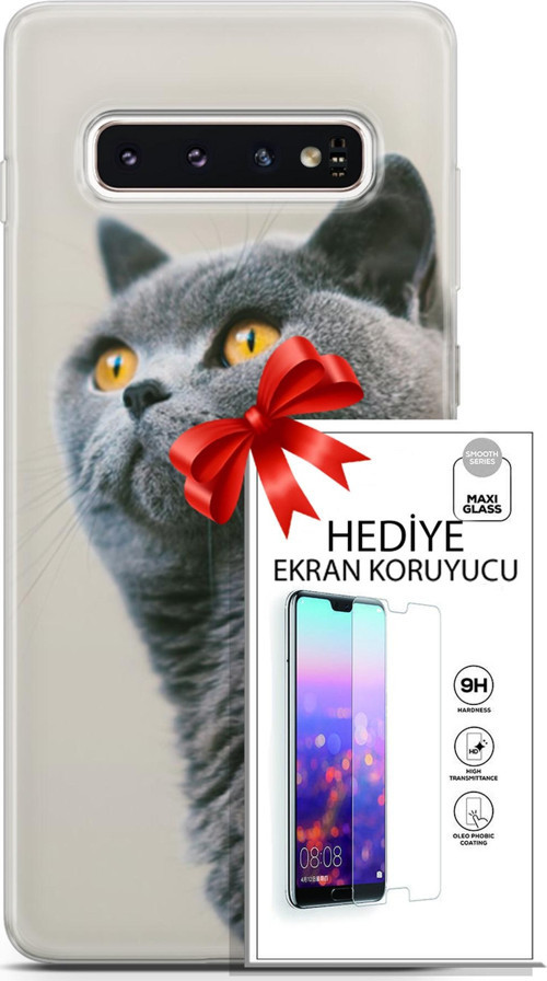 Samsung Galaxy S10 Kılıf Orijinal Seri Scotish-British 05 Gri Scottish Koruma Kılıfı + Ekran Koruyucu